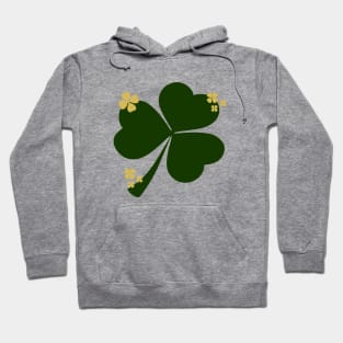 St Patricks Day: Irish Pride & Shamrock Celebration Hoodie